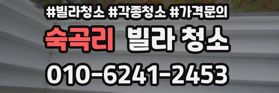 숙곡리 빌라 청소