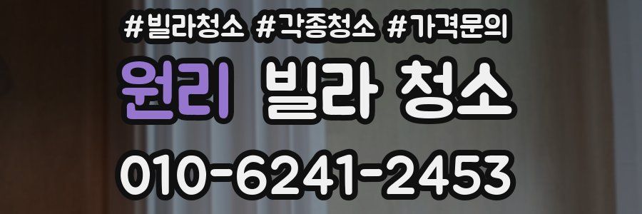 원리 빌라 청소