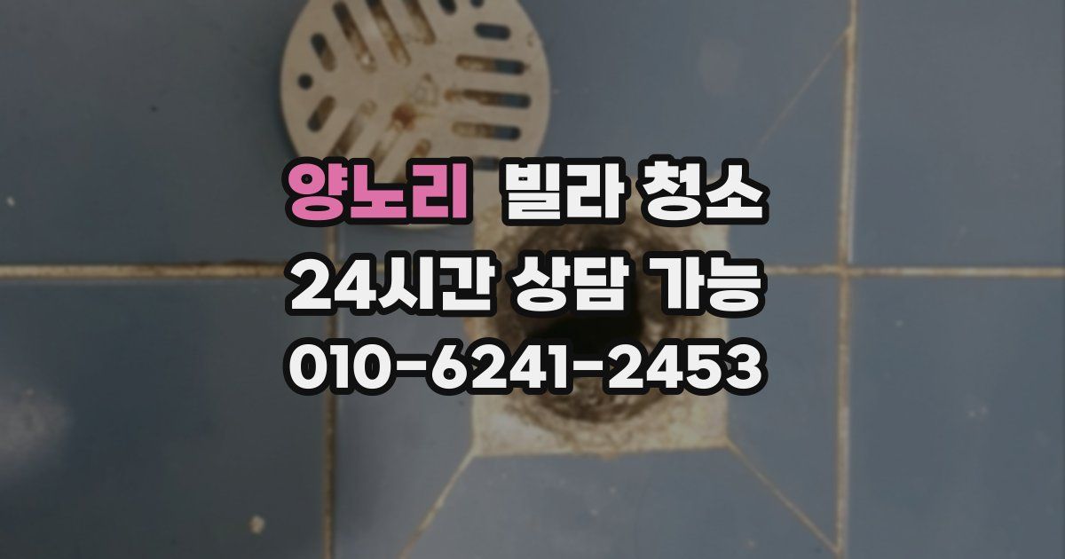 양노리 빌라 청소