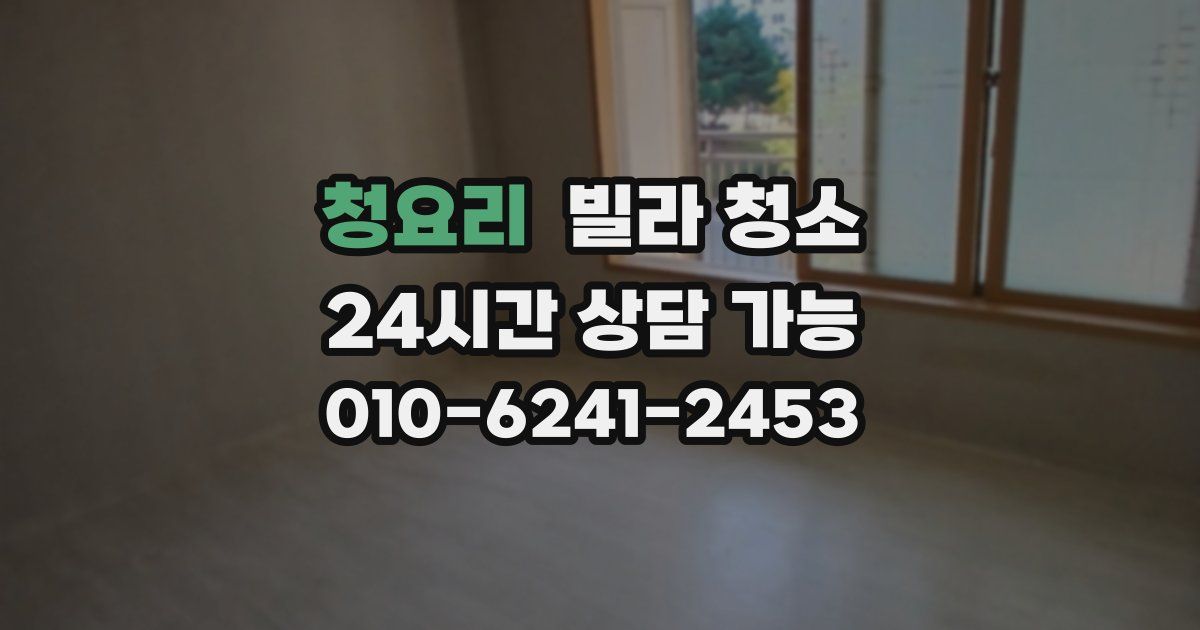 청요리 빌라 청소