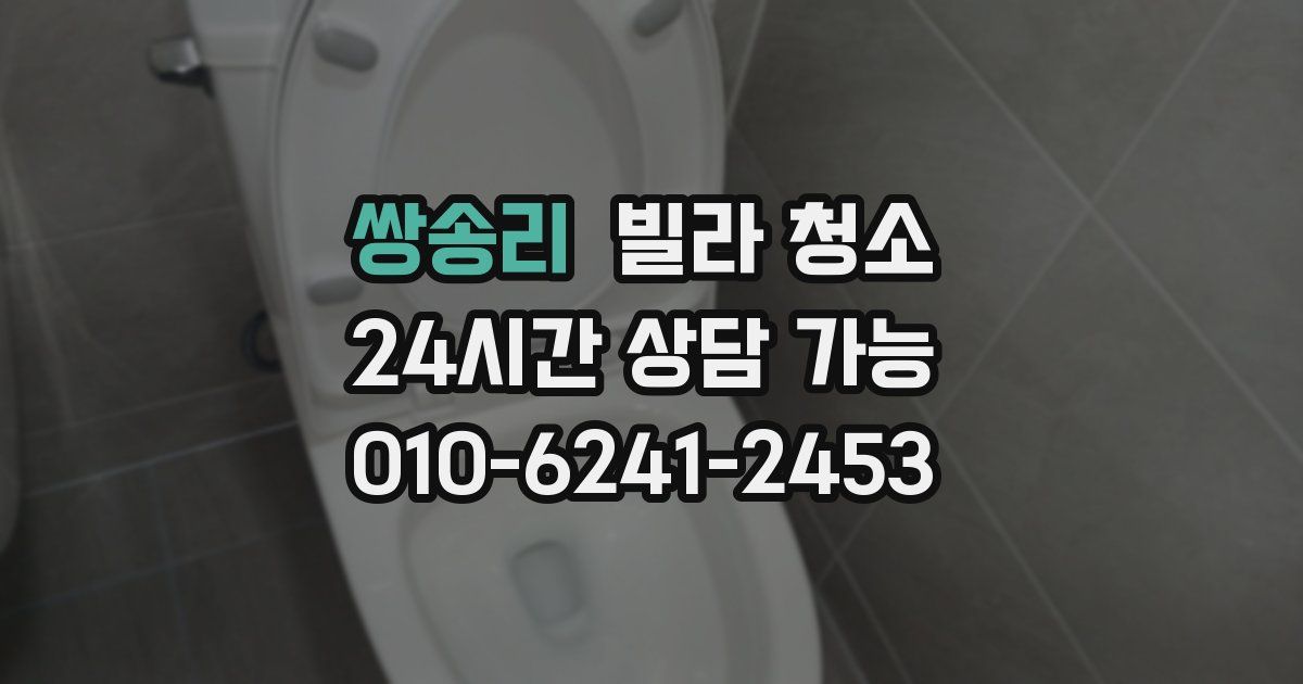 쌍송리 빌라 청소