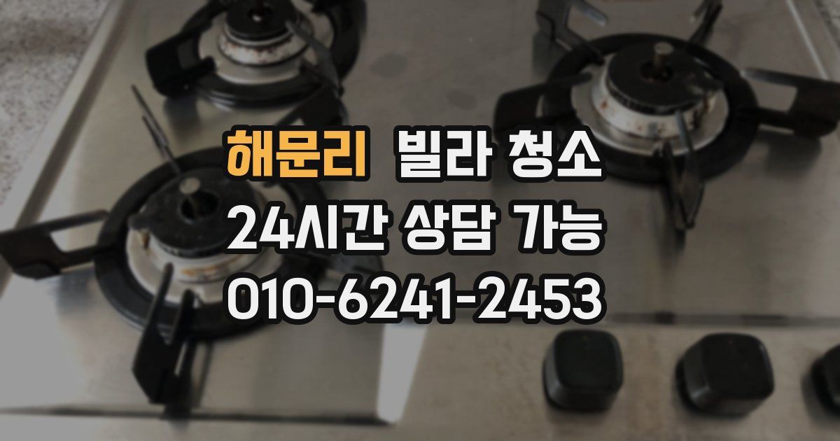 해문리 빌라 청소