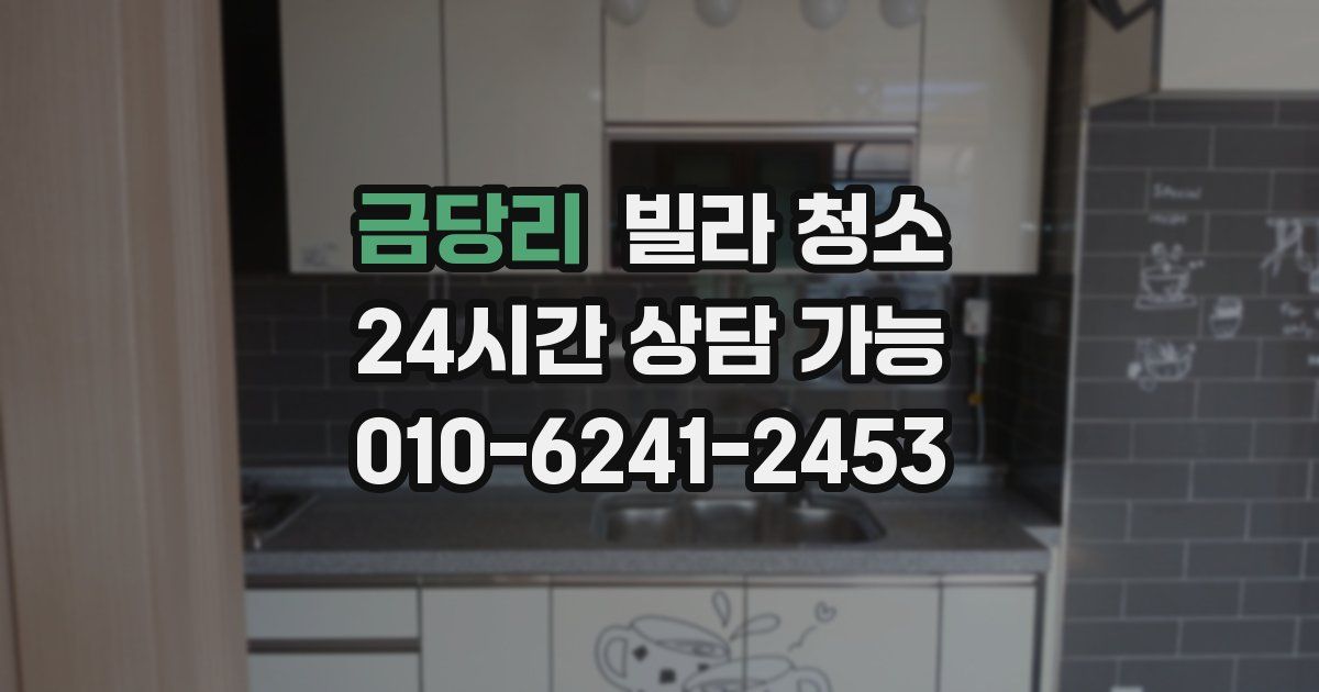 금당리 빌라 청소