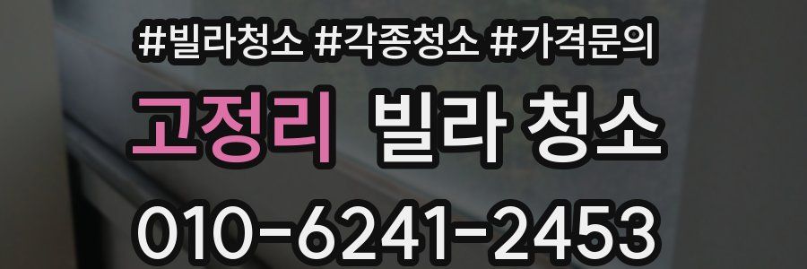 고정리 빌라 청소