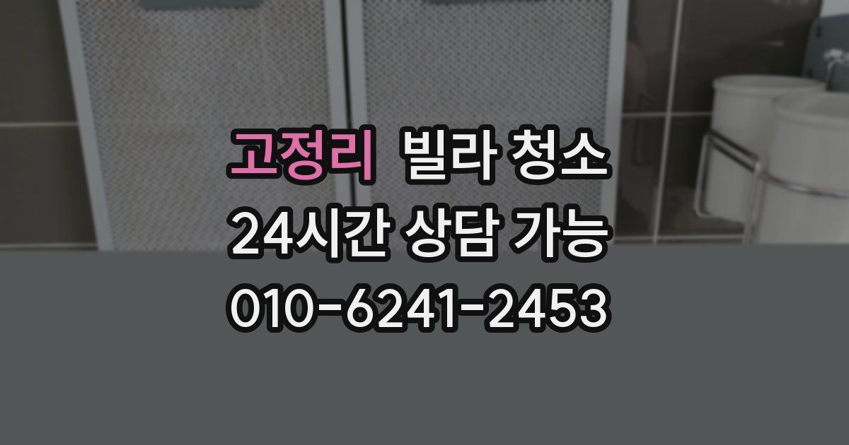 고정리 빌라 청소