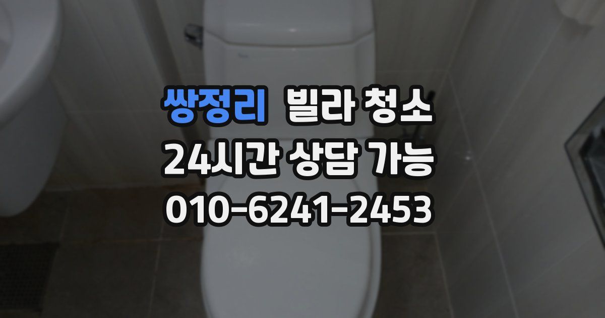 쌍정리 빌라 청소