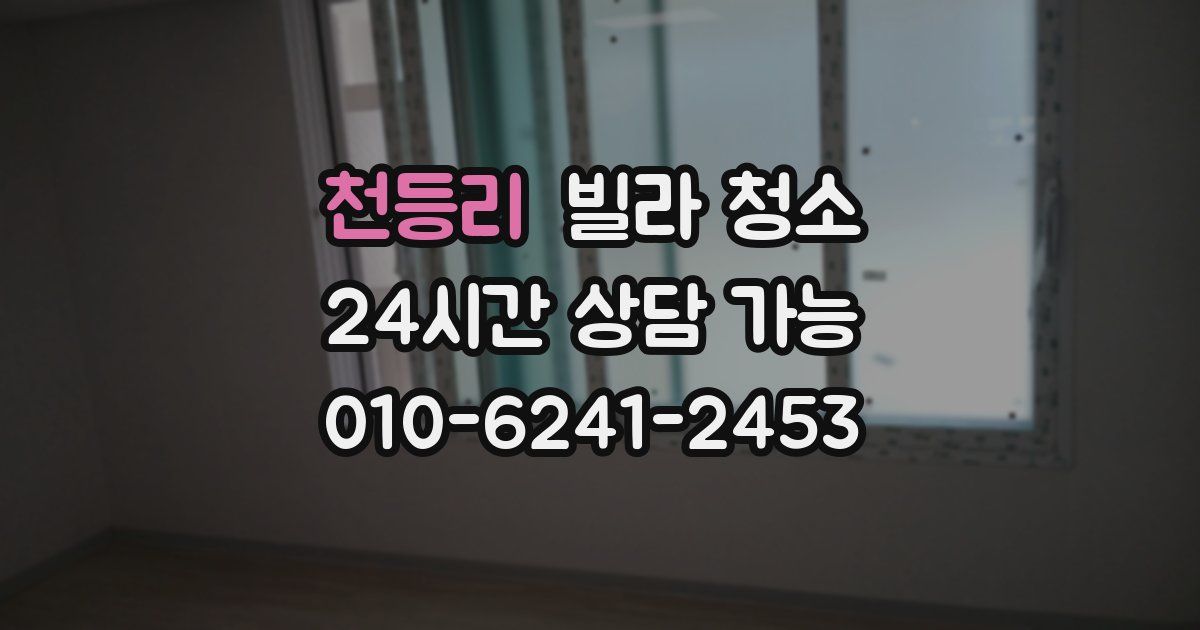 천등리 빌라 청소