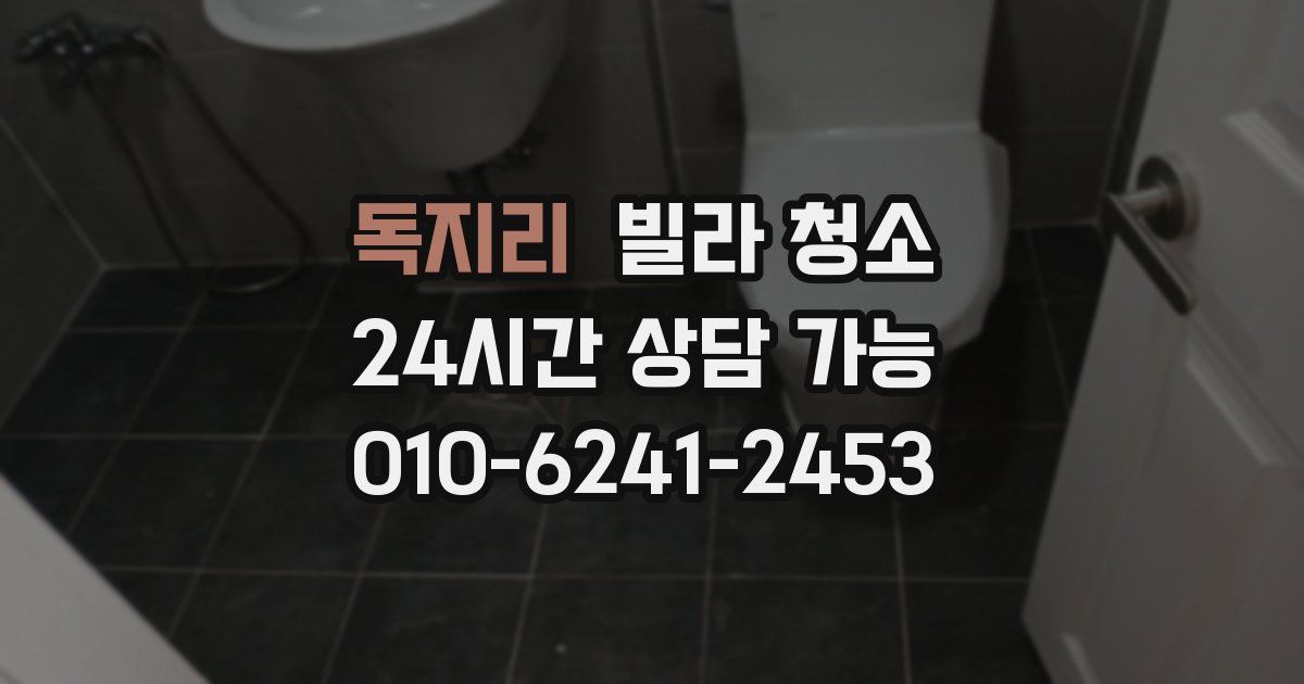 독지리 빌라 청소