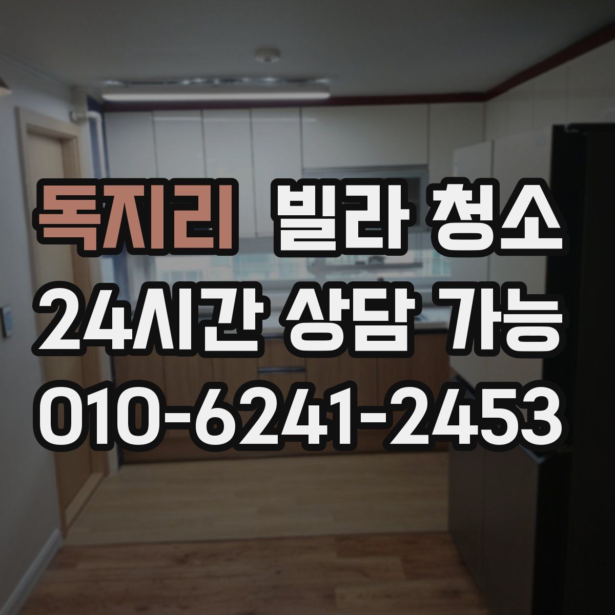 독지리 빌라 청소