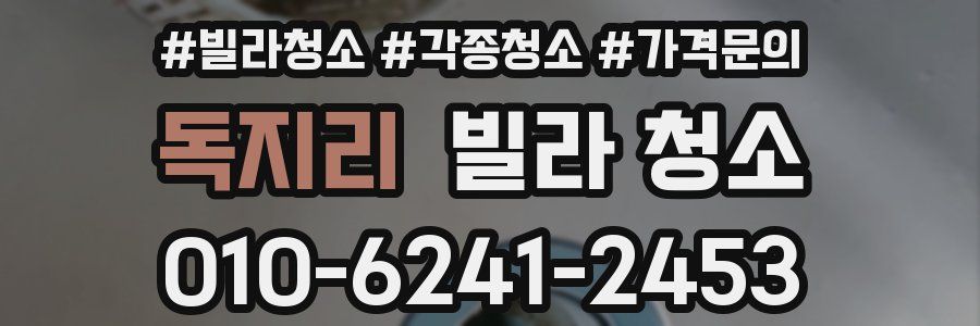 독지리 빌라 청소