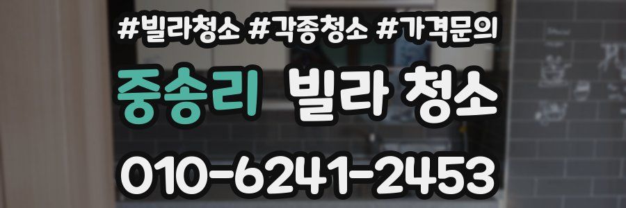 중송리 빌라 청소