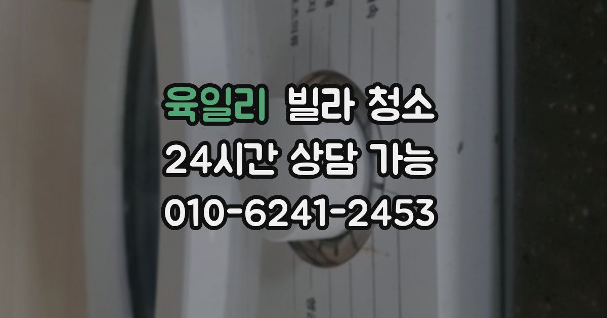 육일리 빌라 청소