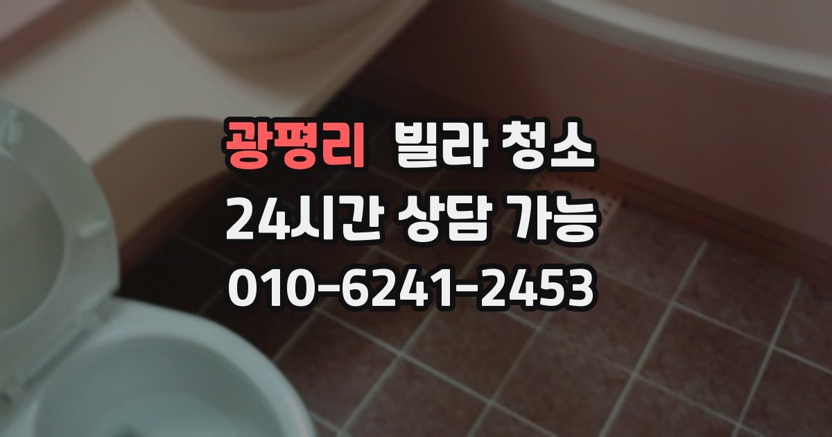 광평리 빌라 청소
