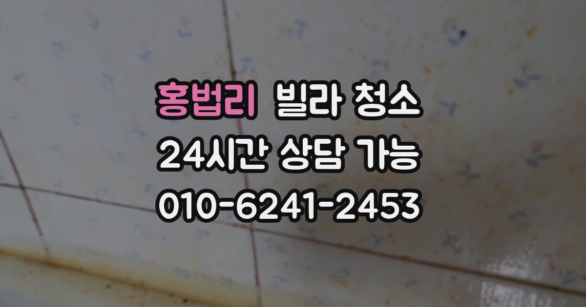 홍법리 빌라 청소