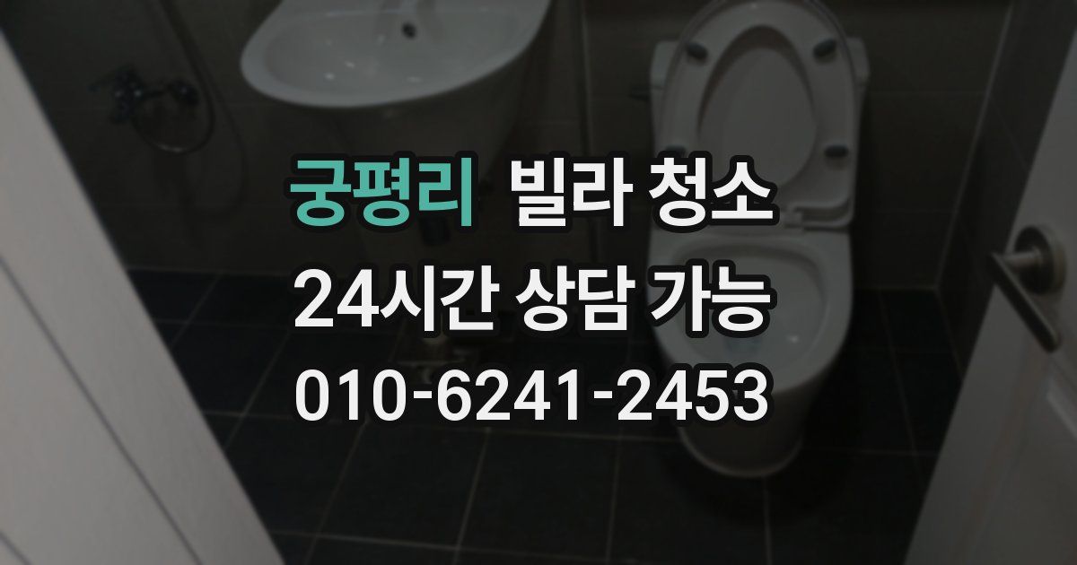 궁평리 빌라 청소