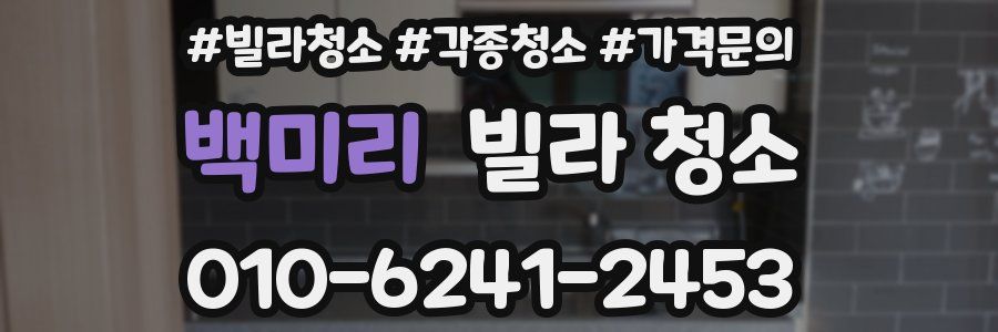 백미리 빌라 청소