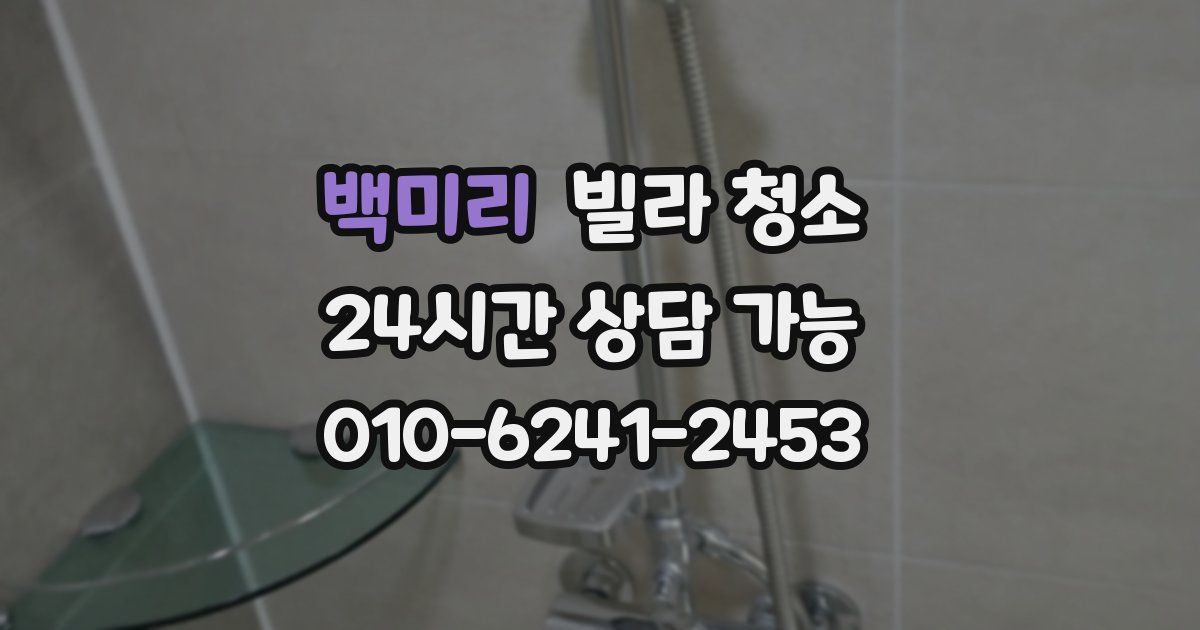 백미리 빌라 청소