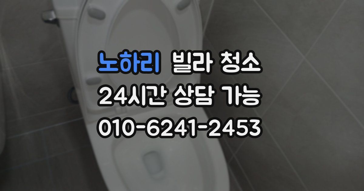 노하리 빌라 청소
