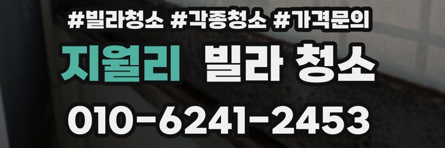 지월리 빌라 청소