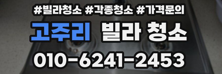 고주리 빌라 청소