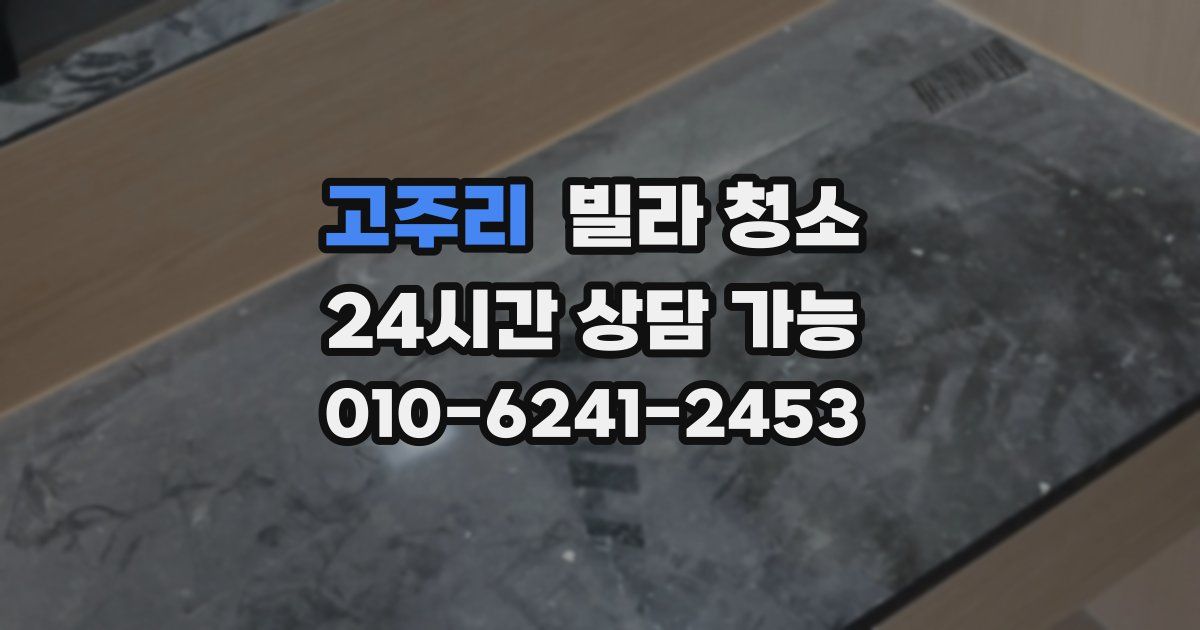 고주리 빌라 청소