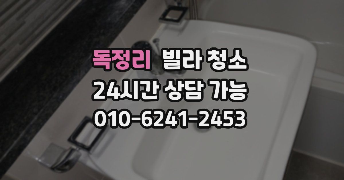 독정리 빌라 청소