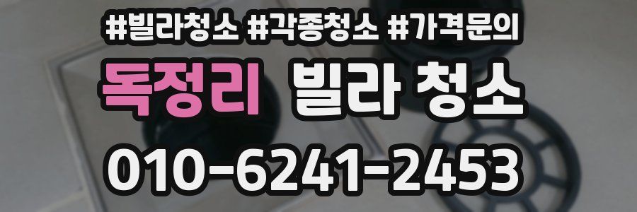 독정리 빌라 청소