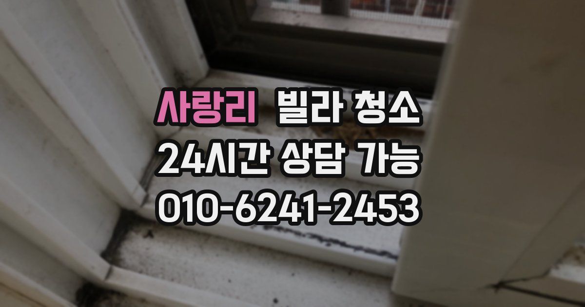 사랑리 빌라 청소