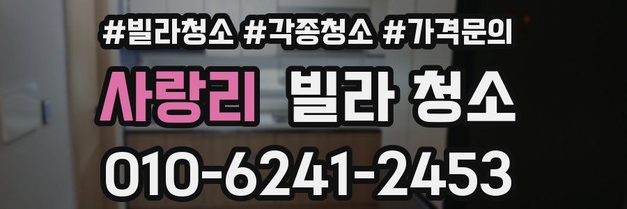 사랑리 빌라 청소