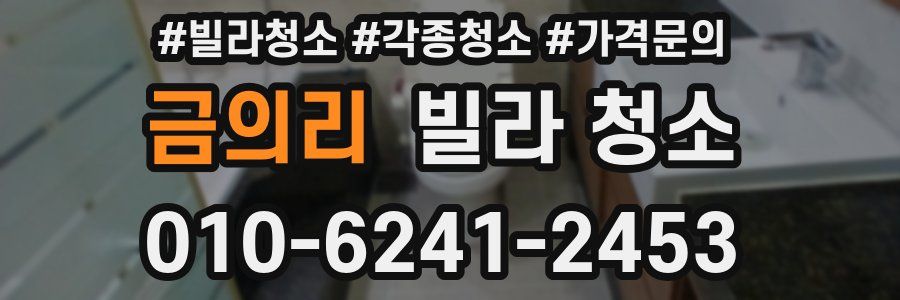 금의리 빌라 청소