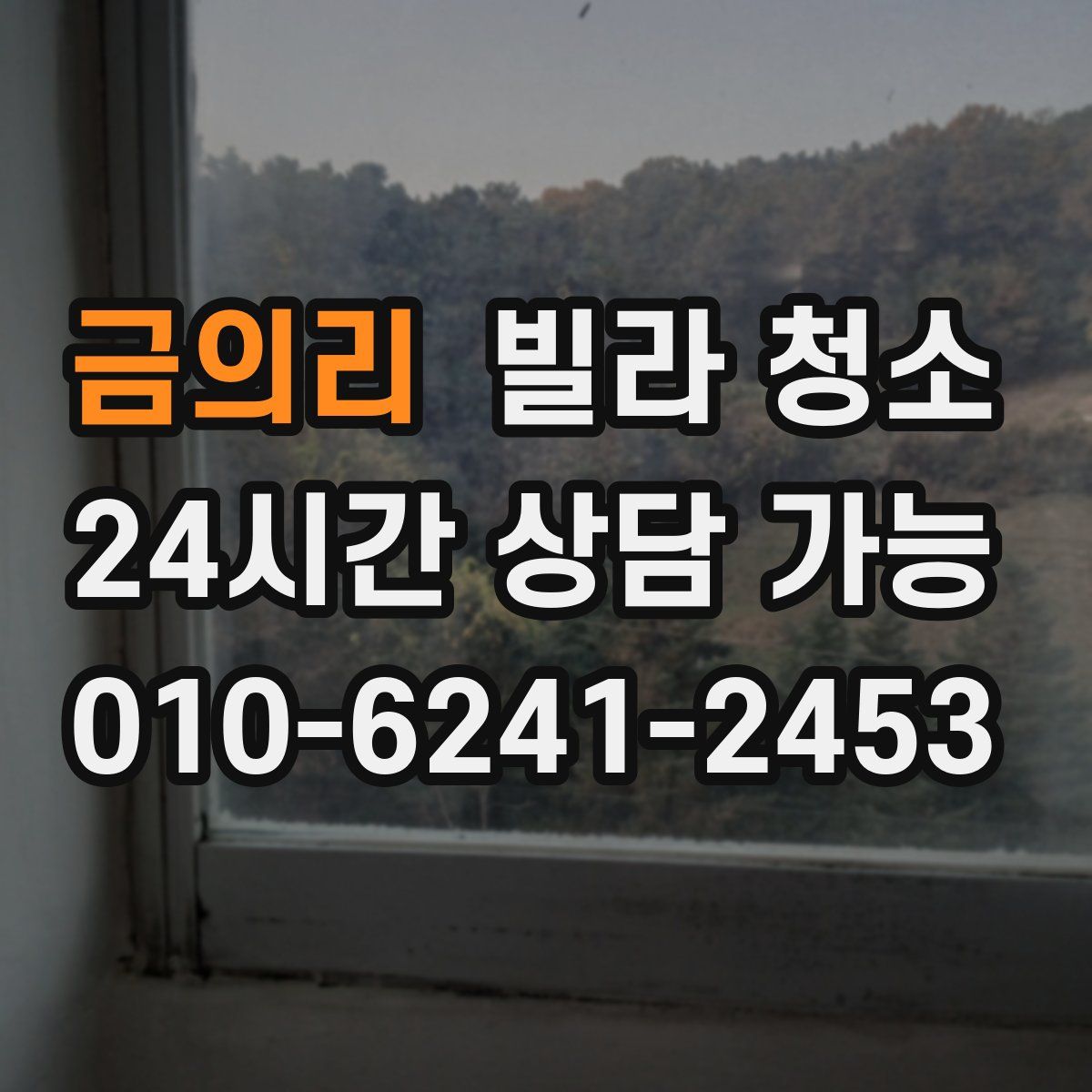 금의리 빌라 청소