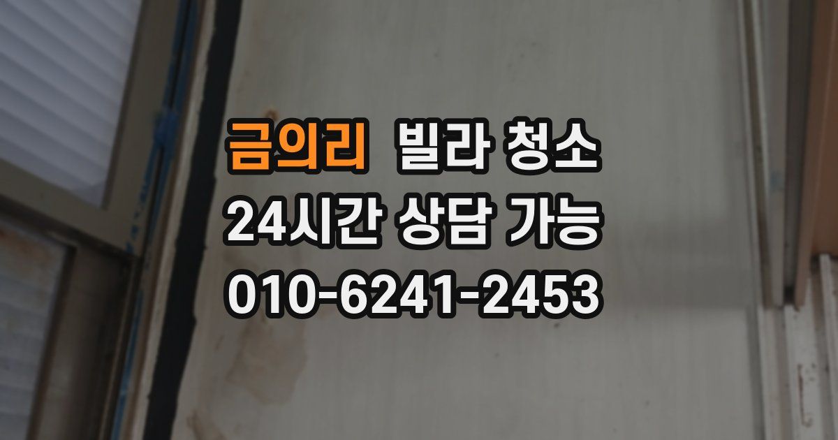 금의리 빌라 청소