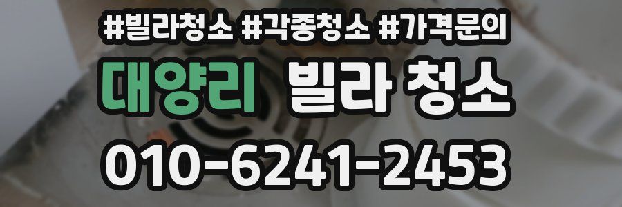 대양리 빌라 청소