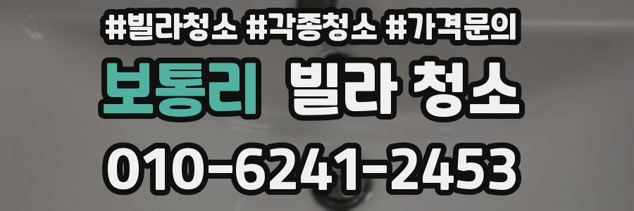 보통리 빌라 청소