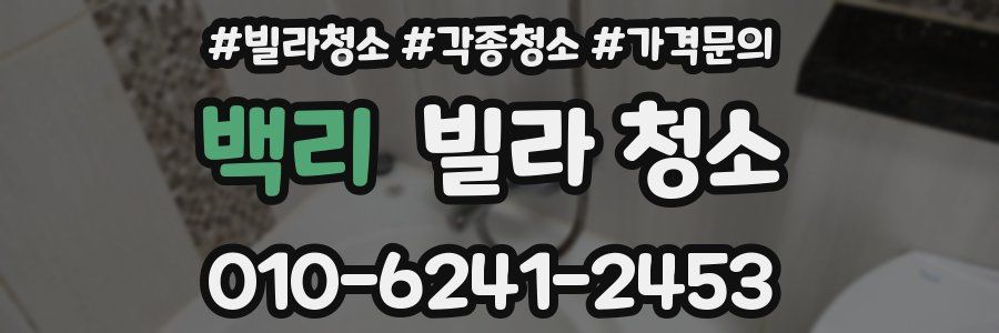 백리 빌라 청소