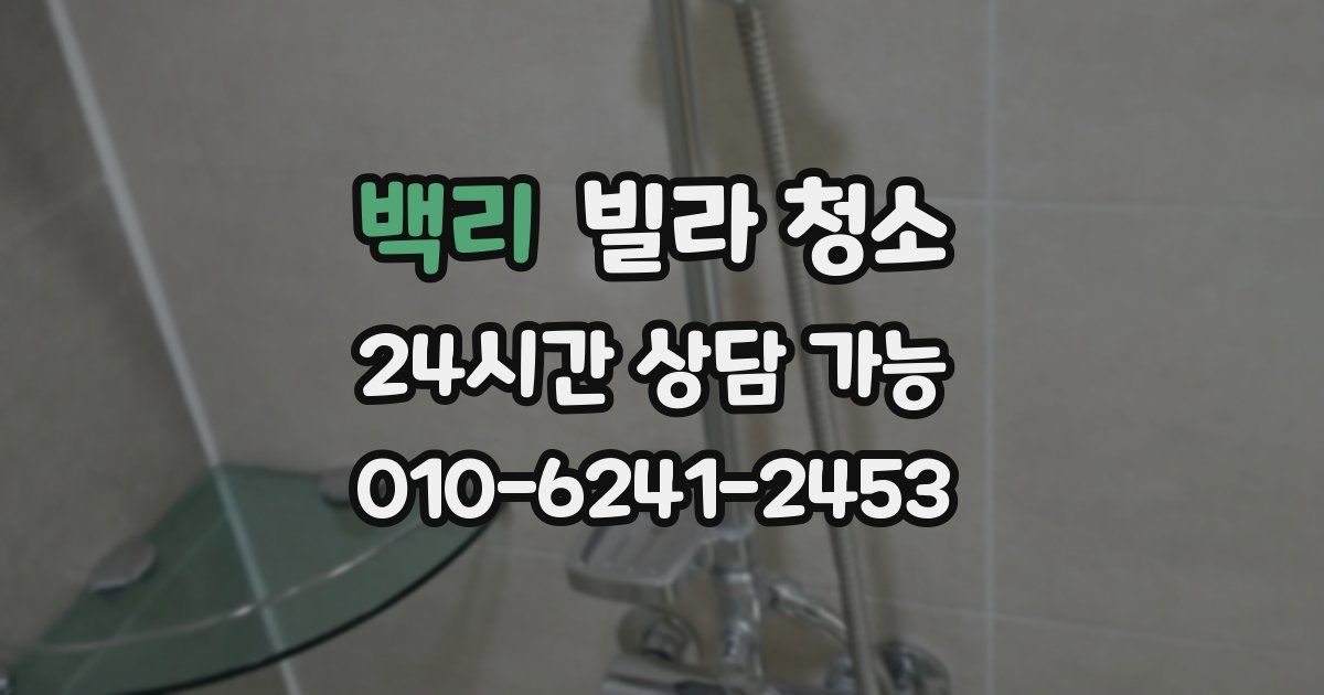 백리 빌라 청소