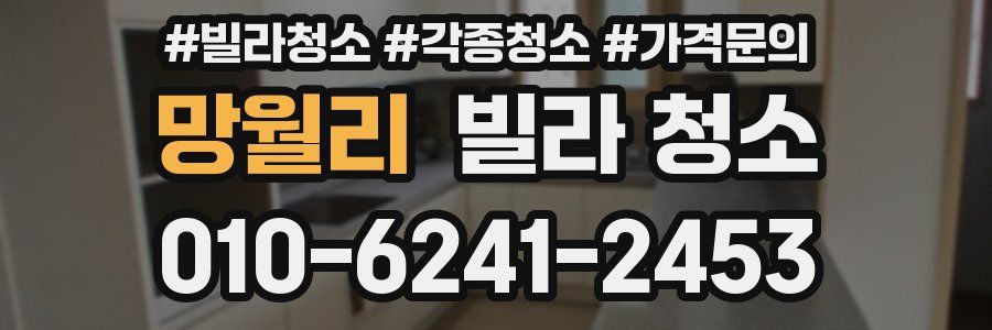 망월리 빌라 청소