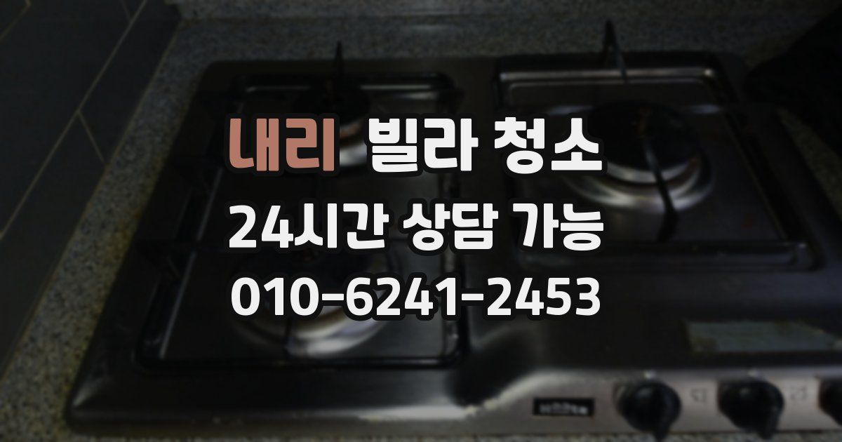 내리 빌라 청소