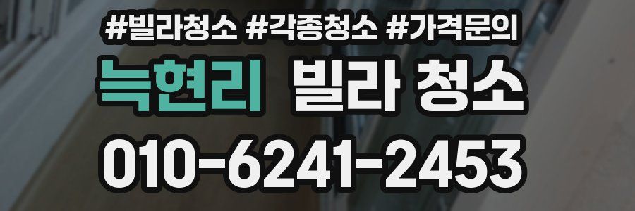 늑현리 빌라 청소