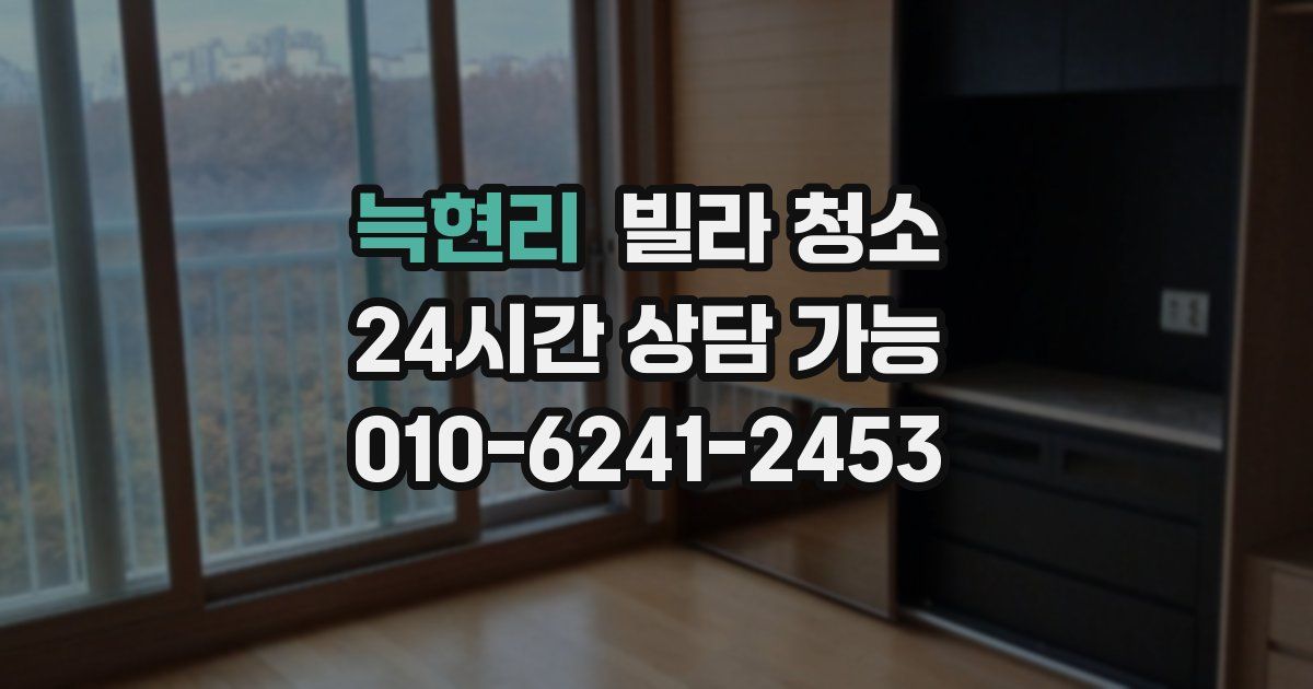 늑현리 빌라 청소