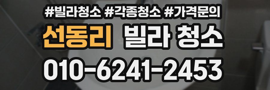 선동리 빌라 청소