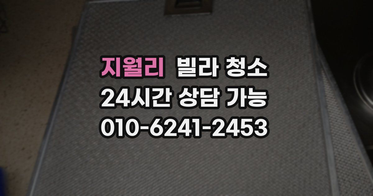 지월리 빌라 청소