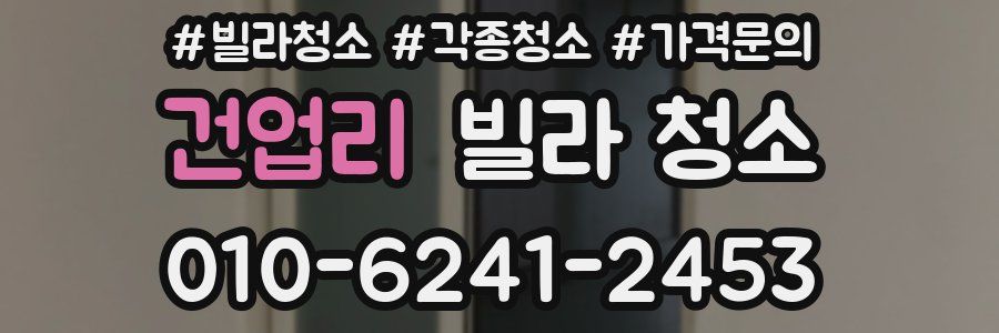 건업리 빌라 청소