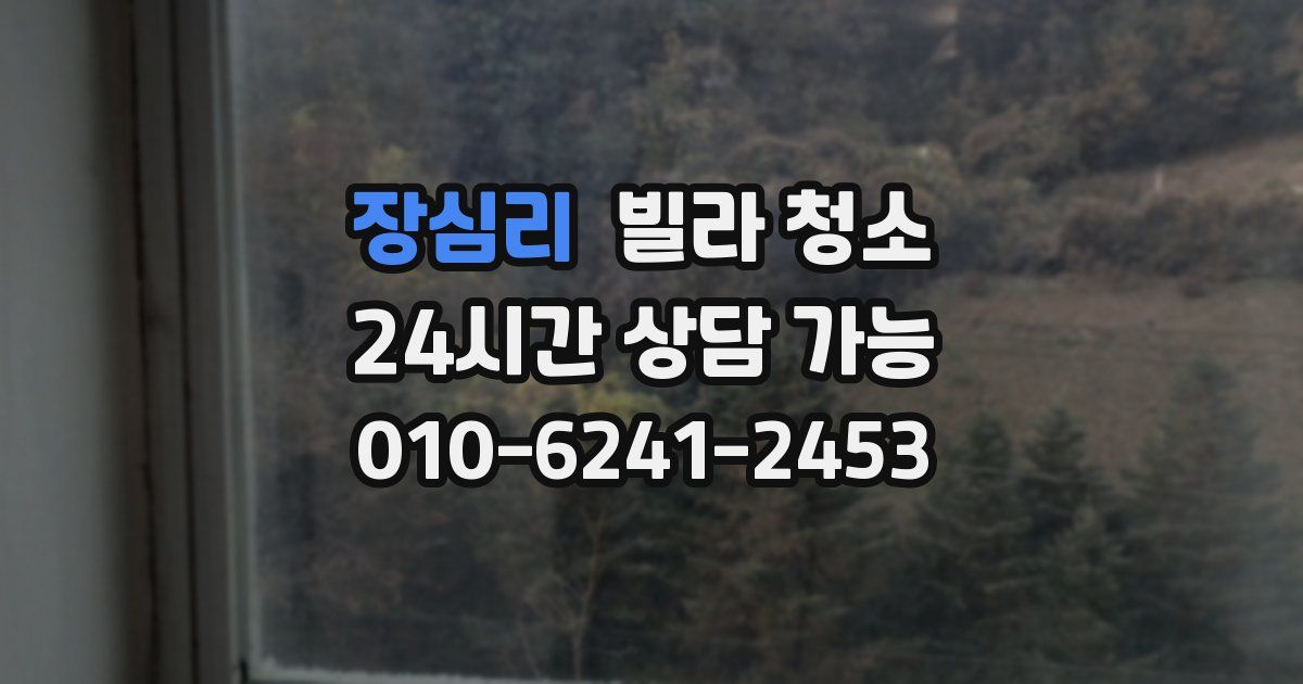 장심리 빌라 청소