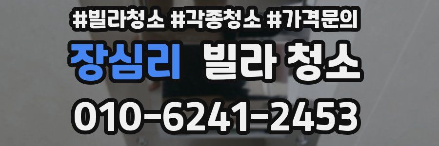 장심리 빌라 청소