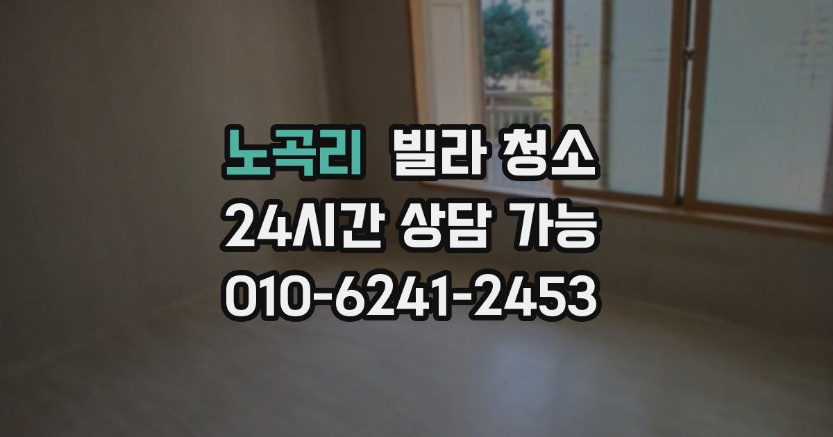 노곡리 빌라 청소