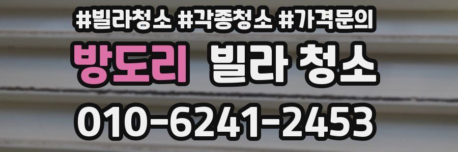 방도리 빌라 청소