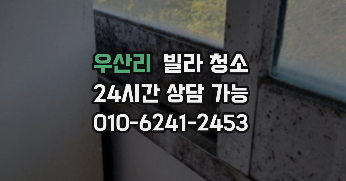 우산리 빌라 청소