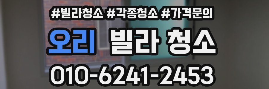 오리 빌라 청소