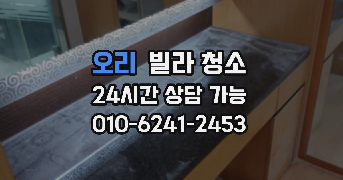 오리 빌라 청소